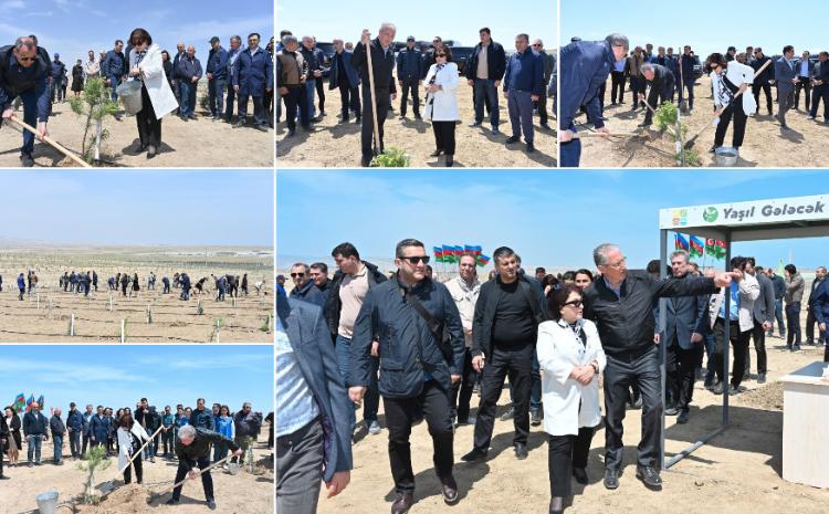 Состоялась организованная Милли Меджлисом акция по озеленению 