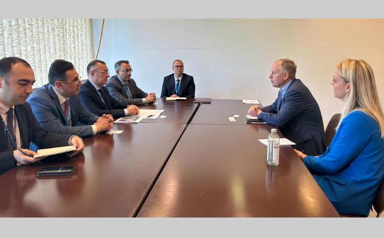 В рамках сессии Всемирной ассамблеи здравоохранения делегация Азербайджана провела ряд двусторонних встреч 