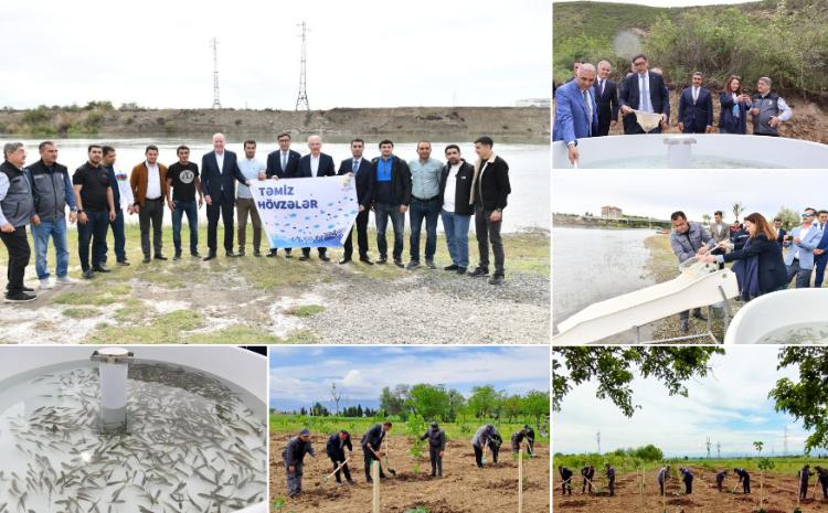 Növbəti balıq buraxılışları və ağacəkmə tədbiri keçirilib 