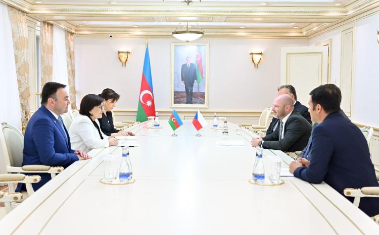 Milli Majlis Speaker Sahiba Gafarova Meets with Members of Czech Republic-Azerbaijan Inter-Parliamentary Links Group 