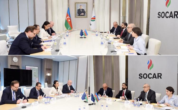SOCAR-ın prezidenti Avropa Komissiyasının enerji siyasəti strategiyası və koordinasiyası üzrə direktoru ilə görüşüb 
