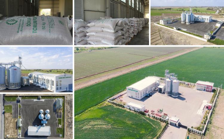 Dənli bitki toxumlarının emalı zavodları mövsümə hazır vəziyyətə gətirilib 