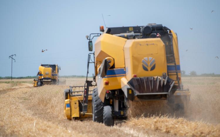 Taxıl  zəmilərinin 33 faizində biçin yekunlaşıb, sahələrdən 1 milyon tondan çox məhsul yığılıb 