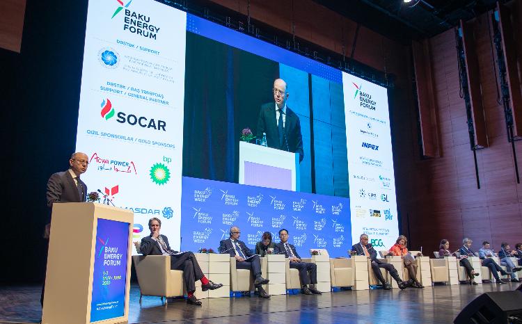 Minister of Energy: Azerbaijan is determined to realize its strategic goals for its development as a green energy country 