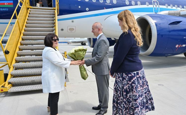Спикер Милли Меджлиса Сагиба Гафарова прибыла в Австрию с официальным визитом 