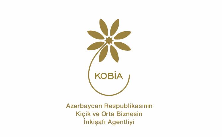 İqtisadi artımın və sosial inkişafın mühərrikləri - KOB-lar 