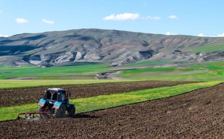 Göygöl rayonunda yazlıq əkin işləri davam etdirilir 