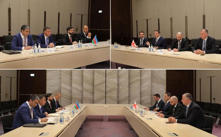 SOCAR prezidenti Gürcüstanın iqtisadiyyat və davamlı inkişaf nazirinin birinci müavini ilə görüşüb 