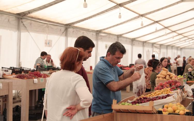 Həftəsonu "Kənddən Şəhərə" yarmarkası təşkil olunacaq 