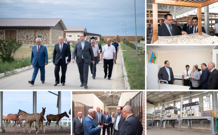 Nazir Bərdə və Ağcabədidə təsərrüfatlara baş çəkib, fermerlərlə görüşüb 