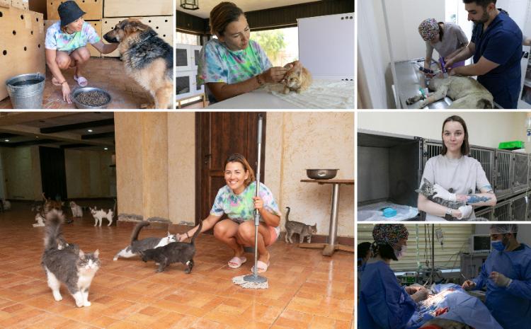 Первая неделя волонтеров «Миссии Добро» подошла к концу 