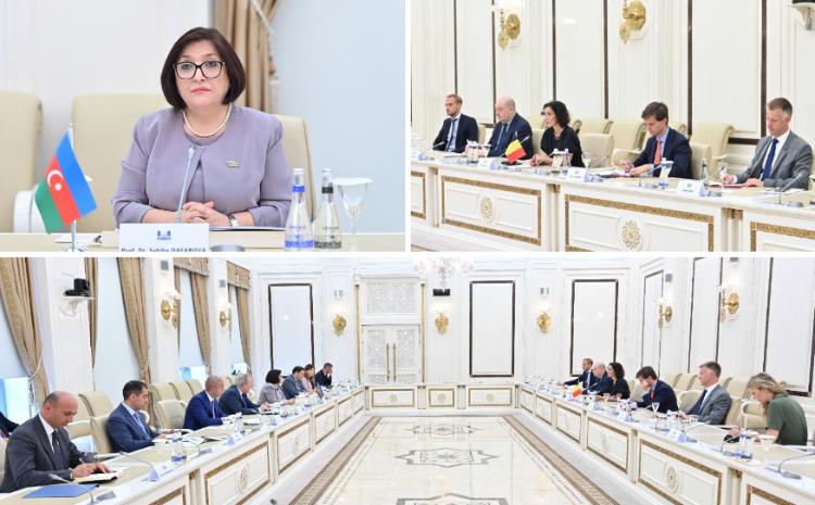 Сагибы Гафаровой с прибывшей в Азербайджан министром иностранных и европейских дел, внешней торговли и федеральных институтов культуры Бельгии 