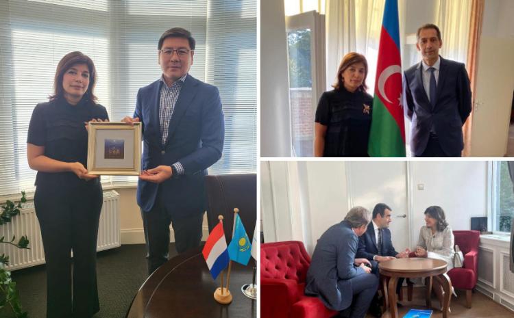 Гюнай Эфендиева встретилась с послами Тюркских стран в Королевстве Нидерландов 