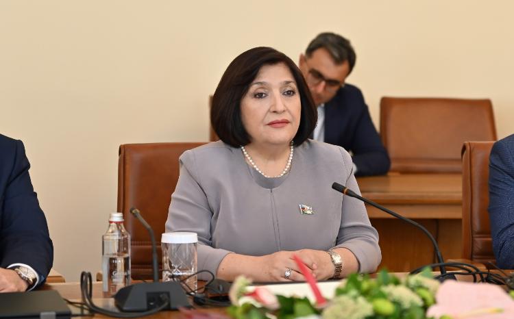 Сагиба Гафарова: "Международное сообщество должно решительно осудить так называемые «президентские выборы» незаконного режима" 