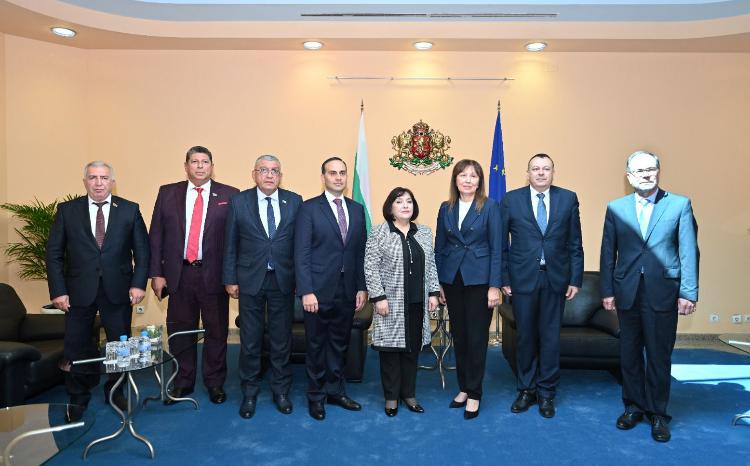 Milli Majlis Speaker Sahiba Gafarova Arrives in Bulgaria on an Official Visit 