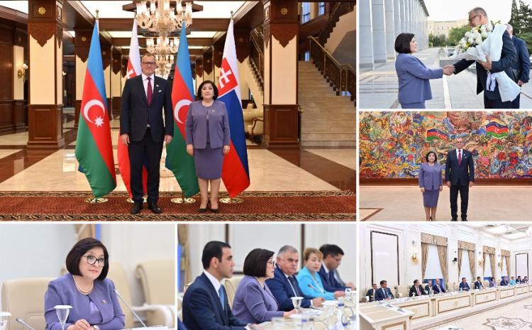 Milli Majlis Chair Sahiba Gafarova Meets Head of Slovak National Council 