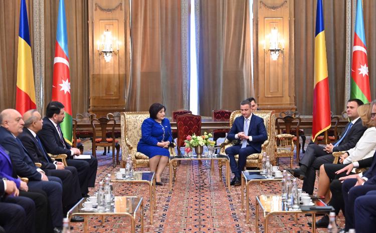 Sahiba Gafarova: All the Rights and Security of the People Who are Set to Become Azerbaijani Citizens Will Be Provided Duly 