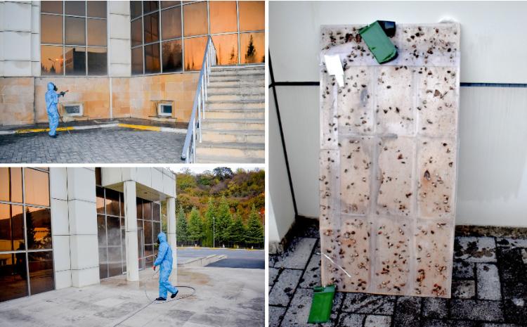 Qəhvəyi Mərmər Bağacığına qarşı mübarizə tədbirləri davam etdirilir 