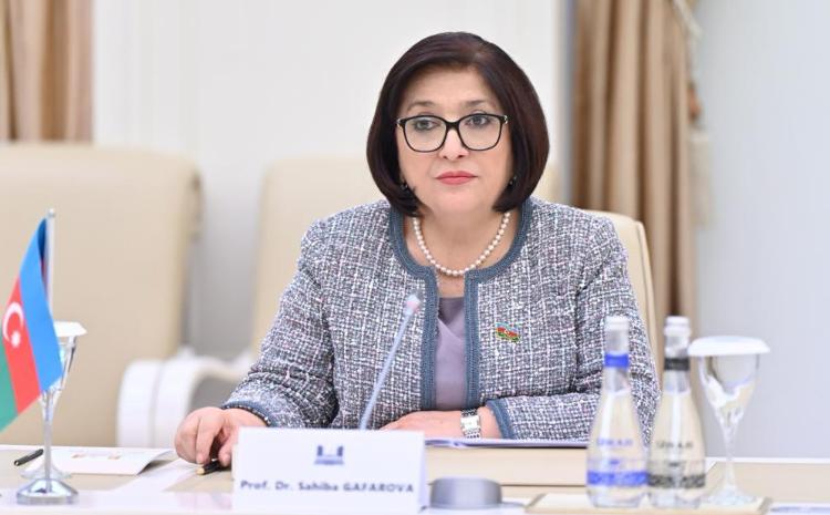 Сагиба Гафарова: предпринимаемые ОБСЕ ПА меры не должны превращаться в рупор лживой армянской пропаганды против Азербайджана 