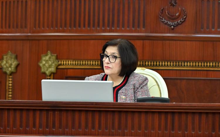 Milli Məclisin sədri Sahibə Qafarovanın parlamentin 2023-cü il 19 dekabr tarixli plenar iclasında çıxışı 