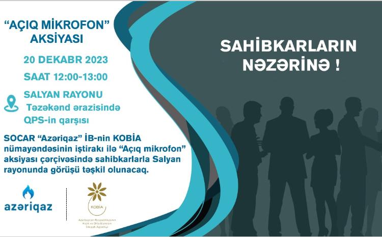 Sahibkarlarla növbəti görüş Salyan rayonunda keçiriləcək 