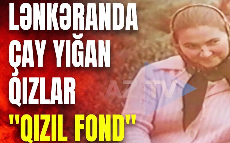 1970-cı illərdə Lənkəranda çay yığımı: AzTV-nin arxivindən nadir görüntülər - VİDEO