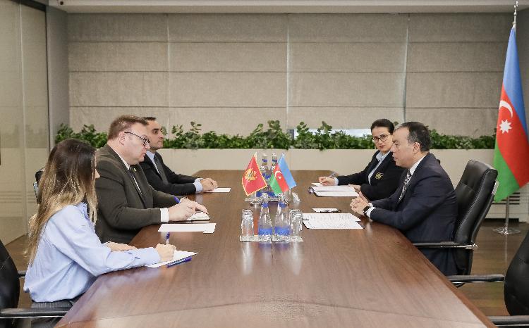Nazirlikdə Monteneqronun ölkəmizdəki səfiri ilə görüş olub 
