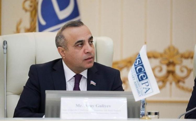 ATƏT PA-nın tədbirində 