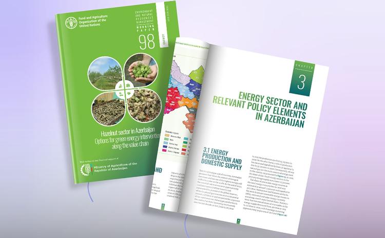 Azərbaycanda fındıq dəyər zəncirində yaşıl enerji imkanları ilə bağlı hesabat dərc edilib 