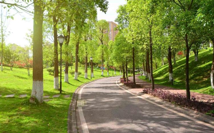 Bakıda iki park salınacaq 