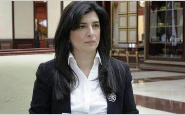 AŞPA Fransa və Almaniya  hakimiyyətinin və Qərbdəki erməni lobbisinin əlində oyuncaq olan bir təşkilatdır 