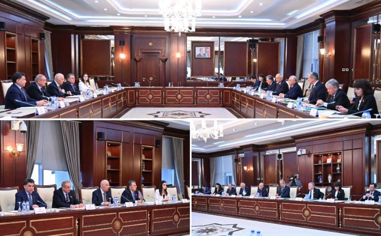 Milli Məclisdə görüş 