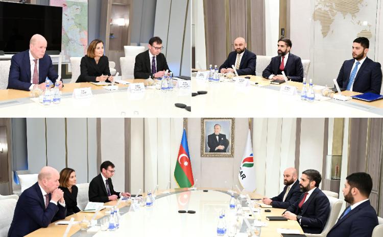 SOCAR-ın prezidenti bp-nin icraçı vitse-prezidenti ilə görüşüb 