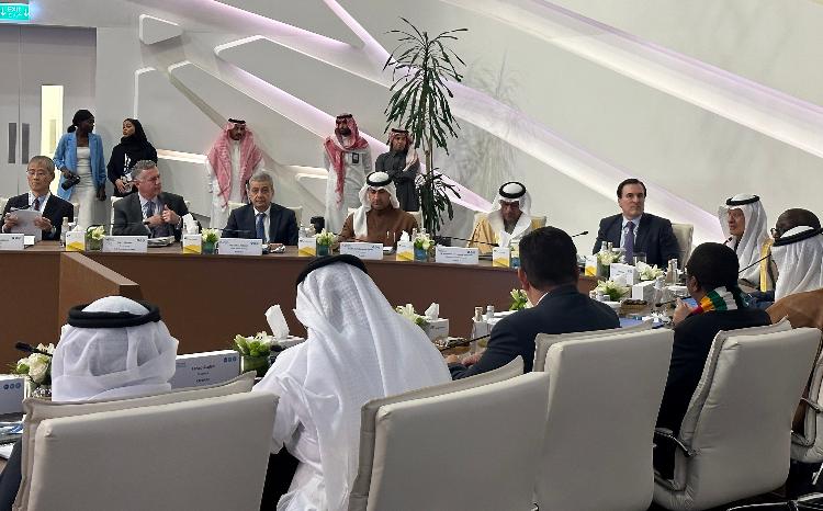 Deputy Energy Minister spoke at the 14th IEA-IEF-OPEC Symposium on Energy Outlooks 