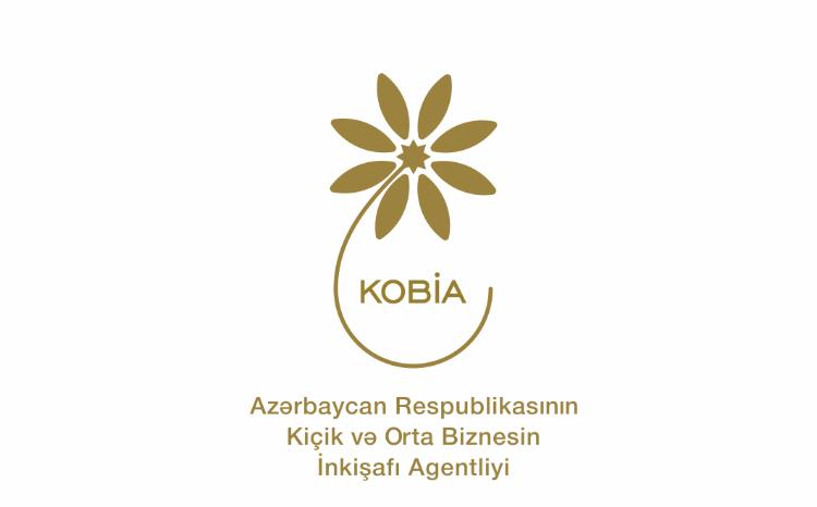 Yanvarda 600-ə yaxın sahibkar və biznesə başlamaq istəyən şəxs üçün 58 təlim keçirilib, 154 məsləhət xidməti göstərilib 