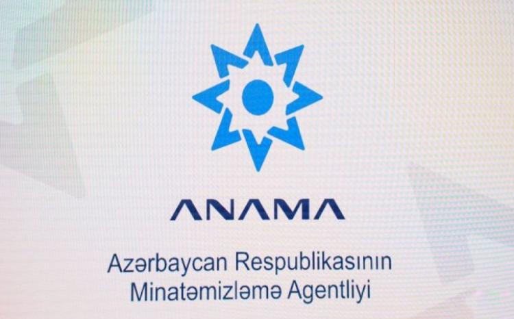 ANAMA-ya Aparat rəhbəri təyin edildi 