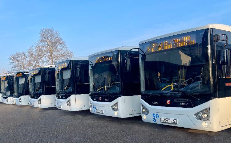 Gəncə şəhərinin ictimai nəqliyyatına yeni avtobuslar cəlb edilib 