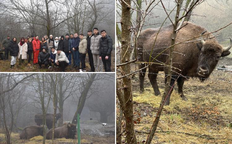 Преподавательско-студенческий состав БГУ побывал в Шахдагском национальном парке 