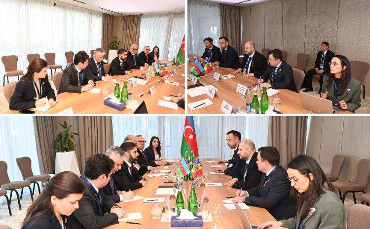 SOCAR-ın prezidenti Moldovanın energetika naziri ilə görüşüb 