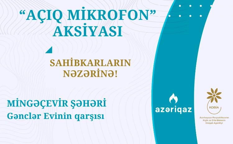 Sahibkarlarla növbəti görüş Mingəçevir şəhərində keçiriləcək 
