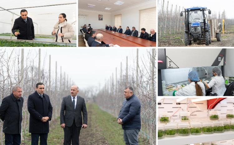 Kənd təsərrüfatı nazirinin müavini Sarvan Cəfərov Qubada vətəndaşları qəbul edib, təsərrüfatlara baş çəkib 