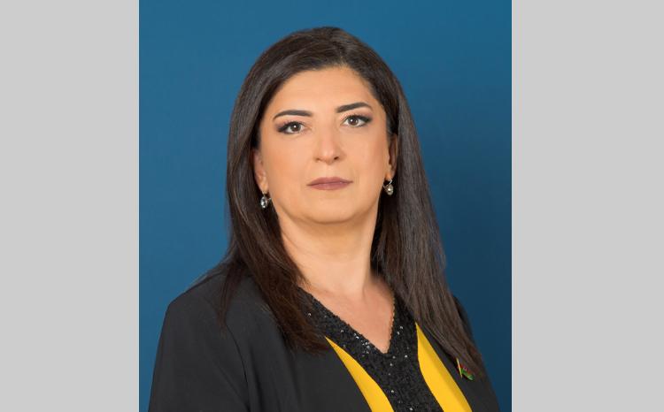 "Azərbaycan və Gürcüstan birlikdə daha böyük uğurlar qazanacaq" 
