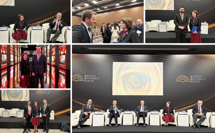 Türk Mədəniyyəti və İrsi Fondunun prezidenti Antalyada keçirilən III-cü Diplomatik Forumda çıxış edib 