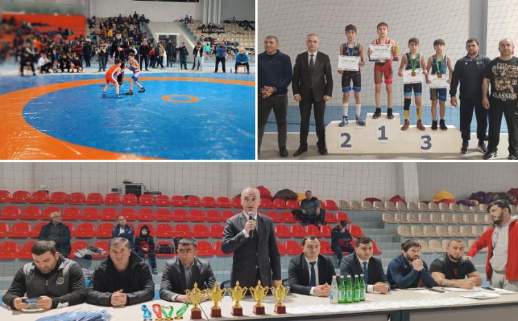Goranboyda, Yunan-Roma güləşi üzrə "Goranboy Kuboku" turniri keçirildi 