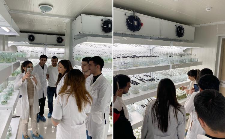 Студенты БГУ проходят практику в НИИ овощеводства 