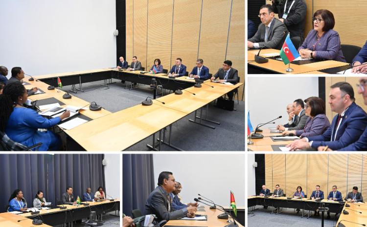 Sahiba Gafarova Meets with Speaker of National Assembly of Co-operative Republic of Guyana 