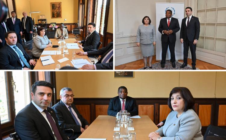 Сагиба Гафаровой встретилась в Женеве с председателем парламента Армении Аленом Симоняном 