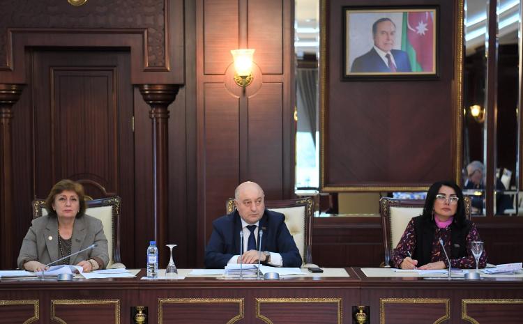 Milli Məclisin Əmək və sosial siyasət komitəsinin növbəti iclası keçirilib 