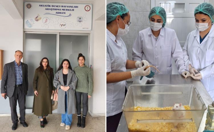 Сотрудники БГУ пройдут тренинг в Университете Анкары 