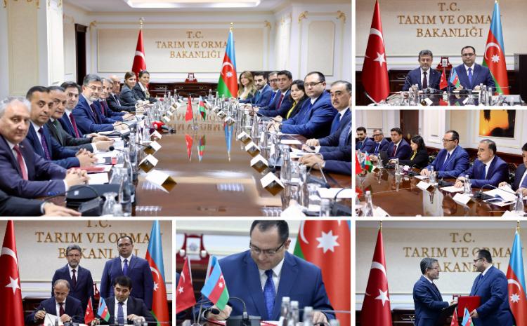 Aqrar sahədə iki ölkə arasında əməkdaşlığın perspektiv istiqamətləri müəyyən edilib 